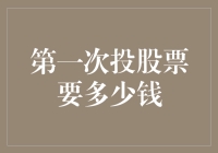 投票投到股票上？第一次炒股要多少钱来发表你的投资小论文？