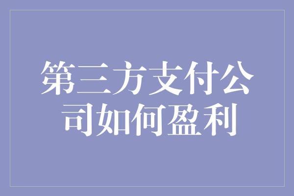 第三方支付公司如何盈利