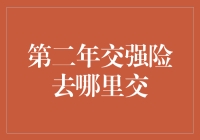 解析第二年交强险交纳策略：保障持续，服务增值