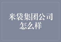 米袋集团：数字化转型下的金融服务新标杆