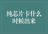 纯芯片卡引领未来的支付方式：何时能全面普及？