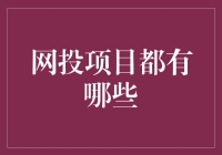 网投项目的多样化选择与风险提示