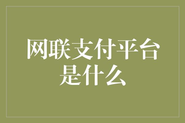 网联支付平台是什么