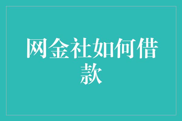 网金社如何借款