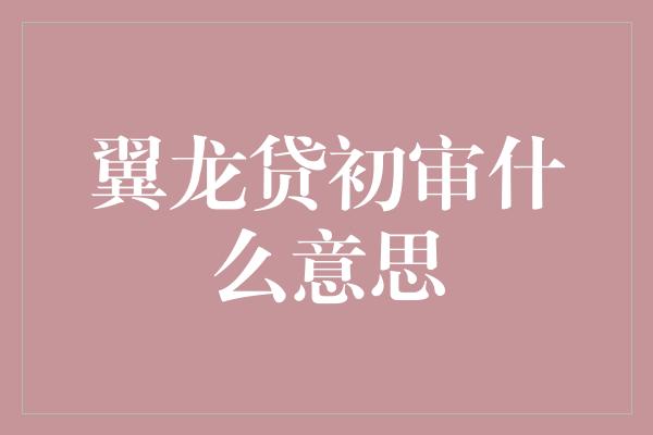 翼龙贷初审什么意思