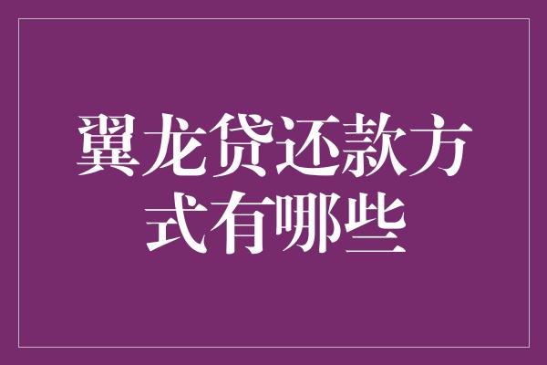 翼龙贷还款方式有哪些