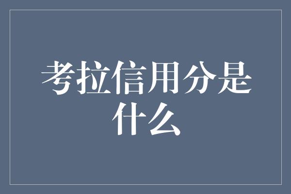 考拉信用分是什么