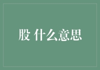 股市新手的股市奇遇记：从茫然到股神的涅槃之路