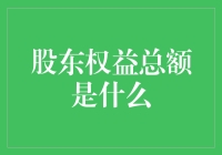 股东权益总额：揭开企业财务健康状况的面纱