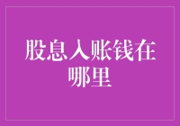 股利入账后，钱都藏哪了？探索投资者的秘密宝藏库