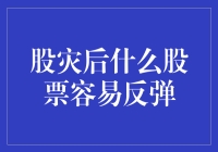 股市大逃杀后的幸存者：那些在股灾后容易反弹的股票