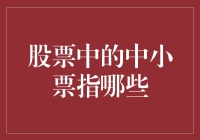 股票市场中的中小票：投资策略与风险考量