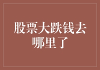 股票大跌钱去哪里了：一场资本市场的寻觅之旅