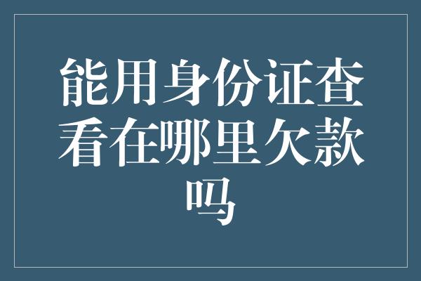 能用身份证查看在哪里欠款吗