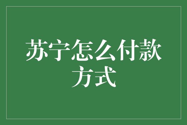 苏宁怎么付款方式