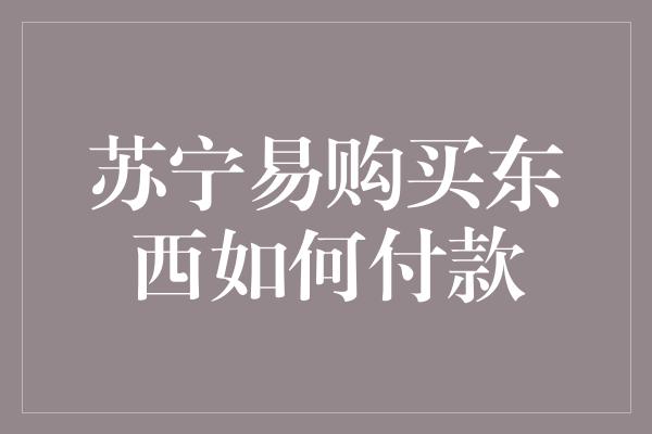 苏宁易购买东西如何付款