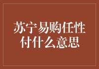 苏宁易购任性付：购物新体验，消费新选择