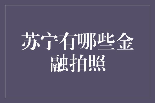 苏宁有哪些金融拍照