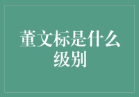 董文标：从平头百姓到金融大鳄，他离底线有多远？