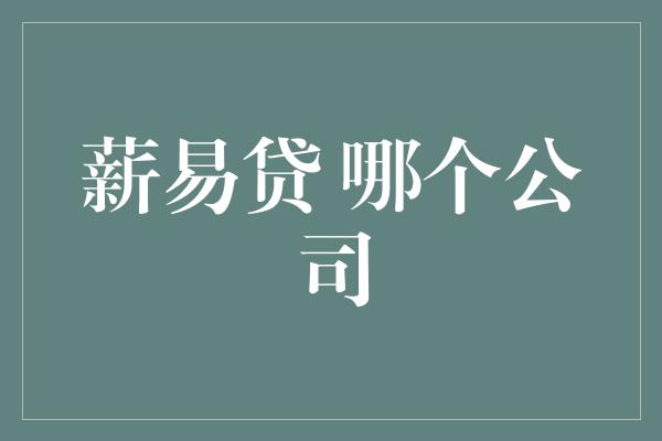 薪易贷 哪个公司