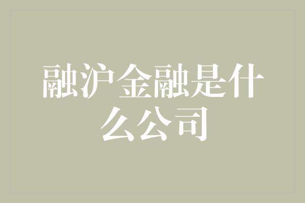 融沪金融是什么公司