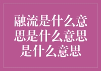 融流：数字时代的信息交融与创新