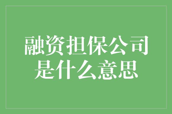 融资担保公司是什么意思