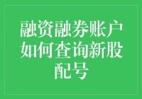 新手上路：轻松掌握融资融券账户查询新股配号的方法