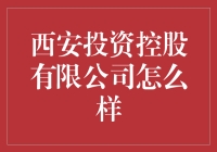 西安投资控股有限公司：一群最会花钱的怪咖们？