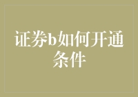 证券B账户开通条件解析与操作流程详解