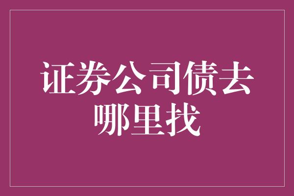 证券公司债去哪里找