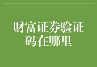 财富证券验证码验证流程详解与安全策略探讨