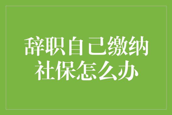 辞职自己缴纳社保怎么办