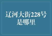 辽河大街228号：神秘世界尽头的谜之坐标