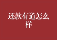 还款有道：破解个人债务问题的创新思路