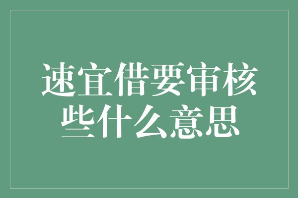 速宜借要审核些什么意思