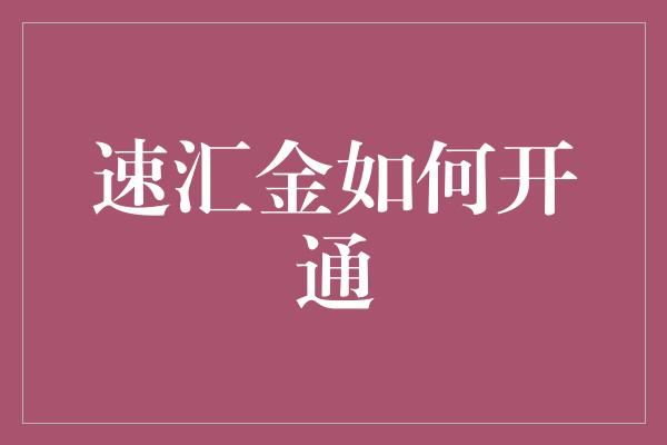 速汇金如何开通