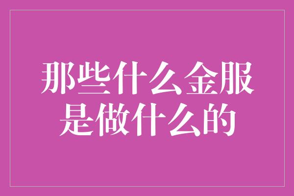 那些什么金服是做什么的