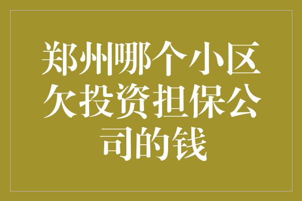 郑州哪个小区欠投资担保公司的钱