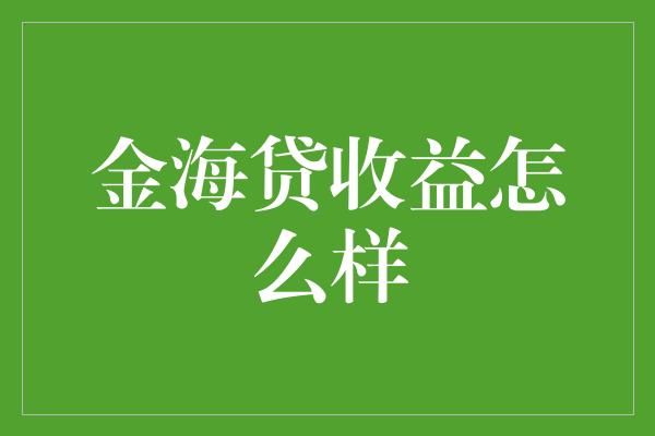 金海贷收益怎么样