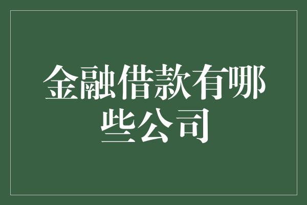 金融借款有哪些公司