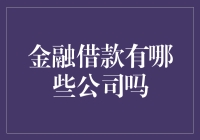 金融借款界的江湖秘籍：那些神秘的借款公司