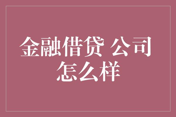 金融借贷 公司 怎么样