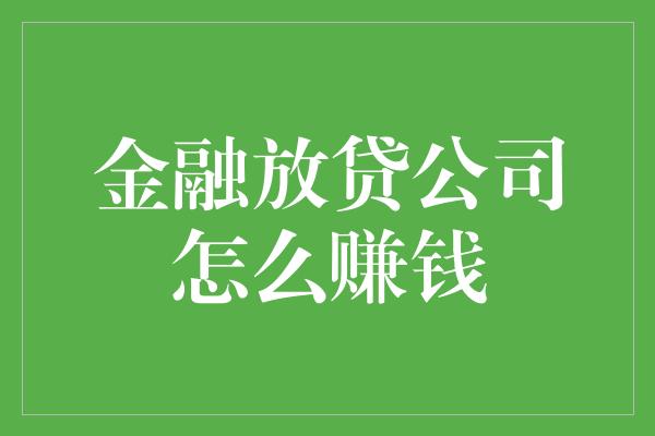 金融放贷公司怎么赚钱