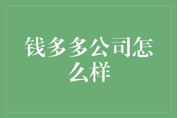 钱多多公司怎么样