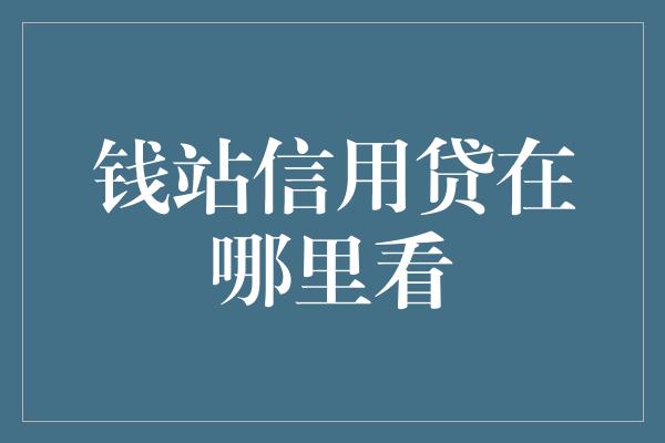 钱站信用贷在哪里看