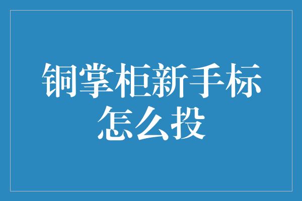 铜掌柜新手标怎么投