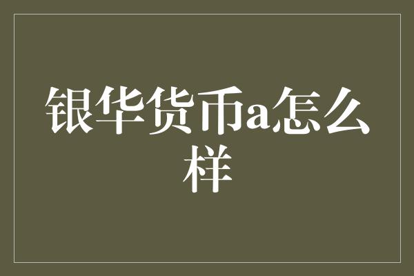 银华货币a怎么样