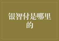 银智付：源自中国，以科技驱动支付新纪元