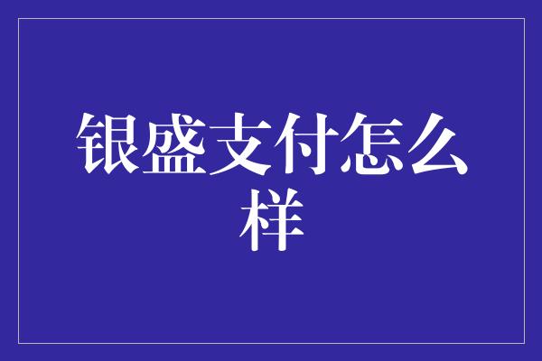 银盛支付怎么样